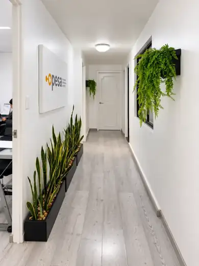 Pasillo de las oficinas de OPESA con el logotipo en el muro